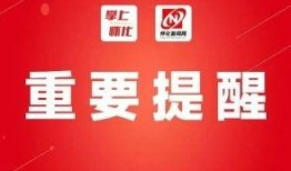 怀化热点爆料新闻视频,视频揭露惊人真相，引发社会热议！