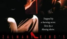 红鞋日记在线观看16,激情燃烧的夜晚